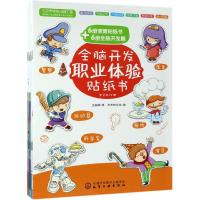 全脑开发职业体验贴纸书 套装12册 3-6岁幼儿园儿童宝宝全脑开发益智游戏提升智力趣味贴纸职业体验思维训练幼小衔接情