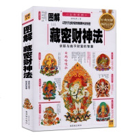 正版     图解藏密财神法以现代手法揭开藏传佛教财神法的秘密 求取与施予财富的智慧 佛教书籍 佛学  书籍ZT