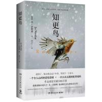 【正版  】知更鸟 (挪威)尤·奈斯博(Jo Nesbo) 著；林立仁 译 现代/当代文学文学 正版图书籍 湖南文艺