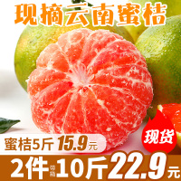 [特价大果10斤25.8]湖北宜昌蜜桔带箱10斤青皮桔子橘青蜜橘子黄皮橘子青皮黄皮随机发