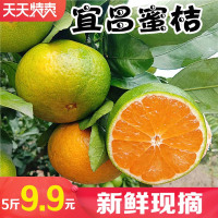 十斤装仅25.8桔子橘子水果新鲜当季薄皮青皮蜜桔柑橘酸甜孕妇现摘5斤[三天内发货]