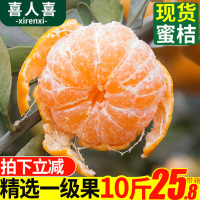 十斤装仅25.8云南蜜桔橘子新鲜10斤带箱当季水果柑橘蜜橘青皮桔子应季批[三天内发货]