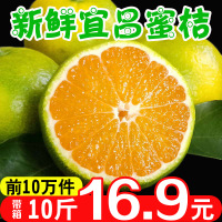 十斤装 湖北宜昌桔子新鲜柑橘青皮蜜桔早熟橘子新鲜水果应季带箱10斤[三天内发货]