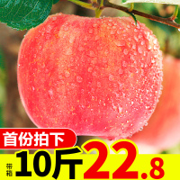 [超实惠10斤装]苹果水果新鲜当季带箱10斤批应季脆甜陕西红富士冰糖心丑嘎啦整箱[三天内发货]