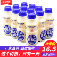胃动力乳酸菌饮品整箱益生菌340ml*12大瓶儿童早餐酸奶牛奶饮料 +++[三天内发货]