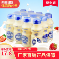 胃动力乳酸菌饮品益生菌早餐牛奶酸奶儿童饮料340ml整箱12瓶 +++[三天内发货]