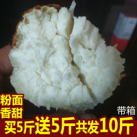 现挖10斤板栗薯带箱 新鲜白薯白心红薯栗子沙地农家自种小地瓜[三天内发货]