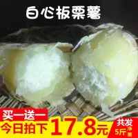 白心红薯5斤 新鲜沙地板栗薯现挖整箱红薯番薯10农家山芋小地瓜【三天内发货】