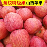 10斤装山西新鲜现摘红富士苹果正宗水果脆甜冰糖心丑苹果整箱批[三天内发货]
