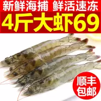 新鲜海虾4斤基围虾大对虾海鲜水产鲜活活虾鲜虾冷冻超大青岛大虾 1600g 11-12cm[三天内发货]