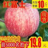 10斤装新鲜红富士苹果现摘现甜脆大孕妇整箱水果10斤丑苹果[三天内发货]