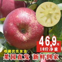 云南丽江糖心苹果孕妇新鲜甜脆冰糖心昭通丑苹果水果10斤批[三天内发货]