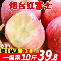 山东烟台栖霞红富士苹果脆甜10斤当季应季新鲜水果圣诞顺丰 5斤 80mm(含)-85mm(不含)[三天内发货]