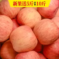 山东烟台红富士水果苹果新鲜一箱装应季吃的栖霞批当季整箱【三天内发货】