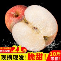 山西苹果新鲜红富士10斤整箱丑苹果冰糖心水果当季现摘现【三天内发货】