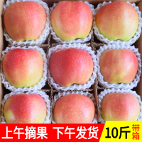 山西运城丑苹果应季水果新鲜当季整箱吃的【三天内发货】