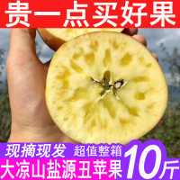 正宗大凉山丑苹果水果盐源新鲜脆甜冰糖心富士野生红整箱10斤 60mm（含）-65mm(不含) 4250g【三天内发货】