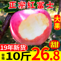 现季红富士大苹果带箱10斤脆甜冰糖心应季一级水果新鲜当季整箱批 9斤 80mm（含）-85mm(不含)【三天内发货】