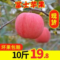 现摘富士苹果水果新鲜10斤带箱当季整箱批红富士苹果