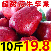 甘肃天水花牛苹果10斤带箱新鲜水果红蛇果粉面平果 9斤 60mm(含)-65mm(不含)[三天内发货]