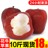 甘肃天水花牛苹果10斤带箱水果新鲜当季整箱粉丑刮泥应季蛇果 4250g 80mm(含)-85mm(不含)[三天内发货]