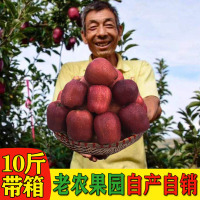 [超实惠10斤装]甘肃天水花牛苹果新鲜带箱10斤当季新鲜红蛇果粉面刮泥脆苹果 [三天内发货]