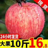 红富士苹果冰糖心新鲜水果10斤整箱批当季脆甜现陕西嘎啦丑一箱 9斤 75mm(含)-80mm(不含)[三天内发货]