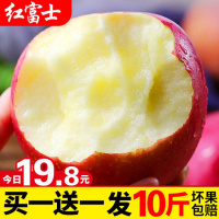 红富士苹果当季新鲜苹果水果甜脆整箱冰糖心苹果10斤萍果[三天内发货]