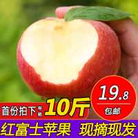 红富士苹果新鲜水果10斤应季整箱脆甜丑苹果非陕西山东烟台苹果[三天内发货]