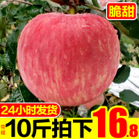 红富士苹果水果10斤带箱批陕西应季现季脆甜新鲜当季整箱鲜果 4500g 80mm（含）-85mm(不含)【三天内发货】