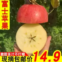红富士苹果水果新鲜脆甜10斤带箱装陕西现摘当季吃的丑平果非嘎啦 2250g 70mm(含)-75mm(不含[三天内发货]