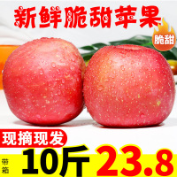 苹果水果新鲜当季整箱10斤带箱应季脆甜山西苹果红富士丑萍果[三天内发货]