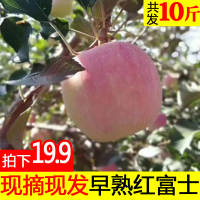 陕西红富士苹果水果新鲜当季带箱10斤批应季脆早熟丑萍果整箱【三天内发货】