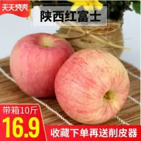 陕西红富士苹果水果新鲜脆甜当季现摘整箱10斤非阿克苏冰糖心苹果 1500g 70mm(含)-75mm(不含[三天内发货]