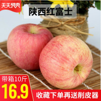 陕西红富士苹果水果新鲜脆甜当季现摘整箱10斤非阿克苏冰糖心苹果 1500g 75mm(含)-80mm(不含[三天内发货]