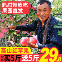 陕西苹果脆甜带箱10斤红富士非冰糖心孕妇新鲜水果当季整箱 4250g 70mm（含）-75mm(不含)【三天内发货】
