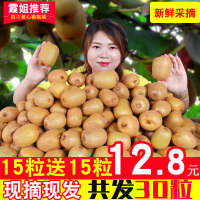 30个19.9元四川心猕猴桃新鲜当季水果奇异果30粒弥猴整批 15个装[三天内发货]