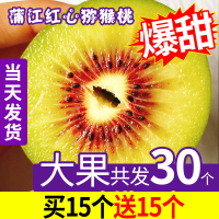 30个四川蒲江红心猕猴桃特大浦江奇异果泥猴桃新鲜水果50-70克[三天内发货]