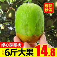 30个19.9元陕西周至绿心猕猴桃新鲜水果当季5斤整箱奇异果徐香弥狝猴桃 套餐二[三天内发货]