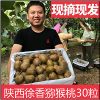 30个装仅19.9元 陕西徐香绿心猕猴桃陕西眉县徐香猕猴桃新鲜5斤绿心奇异果非红心猕猴桃当季水果 30个装