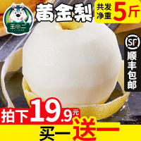 [买1送1]烟台金梨应季水果梨子新鲜雪梨当季香酥皇冠特产[三天内发货]