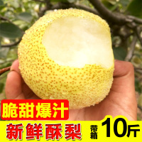 【闪】果园直砀山酥梨皇冠梨梨子新鲜水果带箱10斤 2250g 大果【三天内发货】