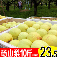安徽砀山皇冠梨10斤梨子当季水果新鲜雪梨批整箱贡梨酥梨【三天内发货】