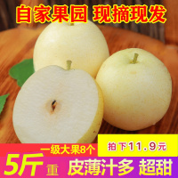 梨子新鲜10斤河北皇冠梨圆梨香梨鸭梨当季水果特级梨现摘带箱10【三天内发货】