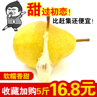 10斤烟台太婆梨茄梨鸭梨新鲜香软梨洋梨大头梨香蕉梨啤梨应季水果[三天内发货]