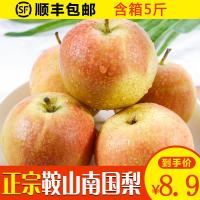 特价大果10斤仅29.8装东北特产南国梨香水梨10 水果梨子 小果 2500g[三天内发货]