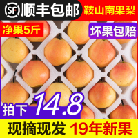 正宗南果梨 新鲜水果梨5斤当季梨子香水梨整箱直批鞍山南国梨 2500g 大果[三天内发货]