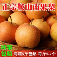 南果梨鞍山新鲜水果东北辽宁南国梨应季非10香水梨苹果梨5斤 2500g 大果[三天内发货]