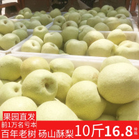 砀山梨酥梨10斤带箱新鲜水果当季现摘水果翠冠梨香梨应季水果【三天内发货】