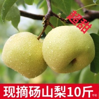 梨子新鲜10斤带箱正宗砀山梨酥梨贡梨当季水果雪梨整箱香翠冠 4250g 中果[三天内发货]